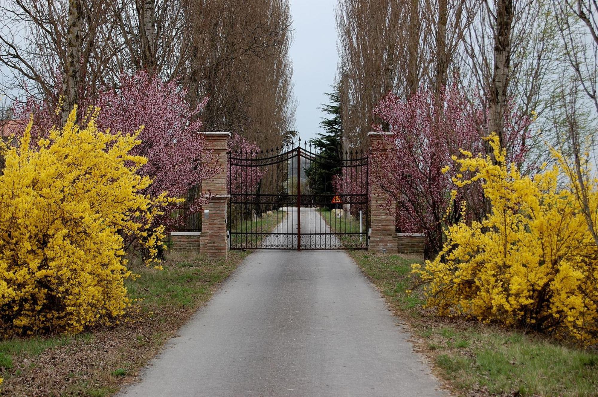 Agriturismo Corte Rocca San Giorgio di Mantova Extérieur photo