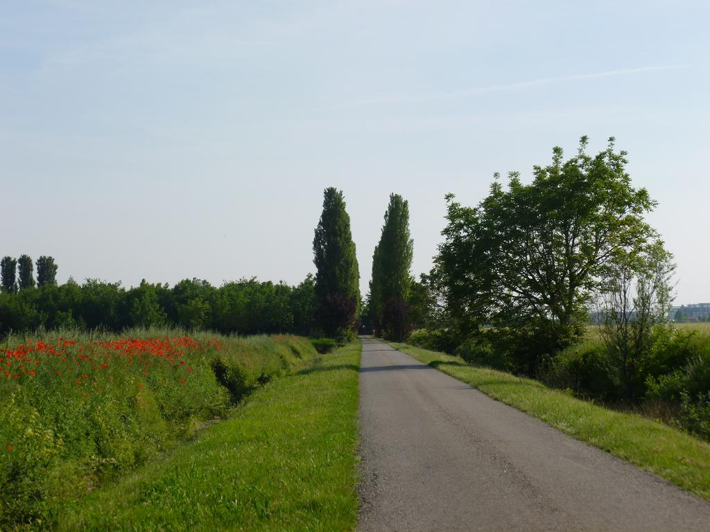 Agriturismo Corte Rocca San Giorgio di Mantova Extérieur photo